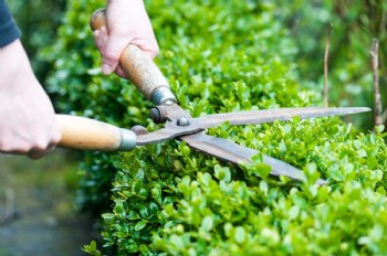 Garten Arbeit